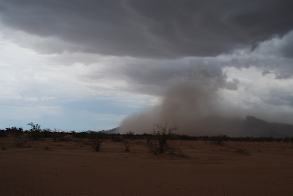 Fine surface soils being increasingly blown away by seasonal dust storms known as haboobs. Image courtesy: David Brown    