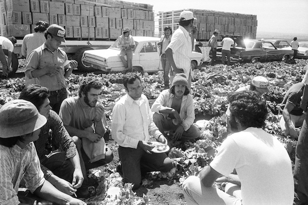 A UFW organizer meets with farmworkers in a Salinas lettuce field in 1975