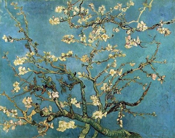 Almond Blossom, Vincent van Gogh.