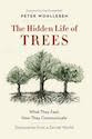 hidden-life-of-trees