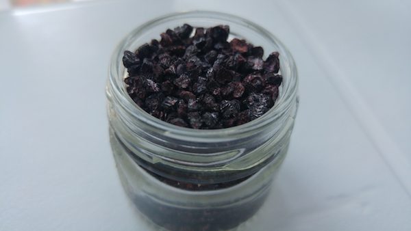 Dried cochineal insects from the author’s study.  Courtesy of Amy Butler Greenfield.