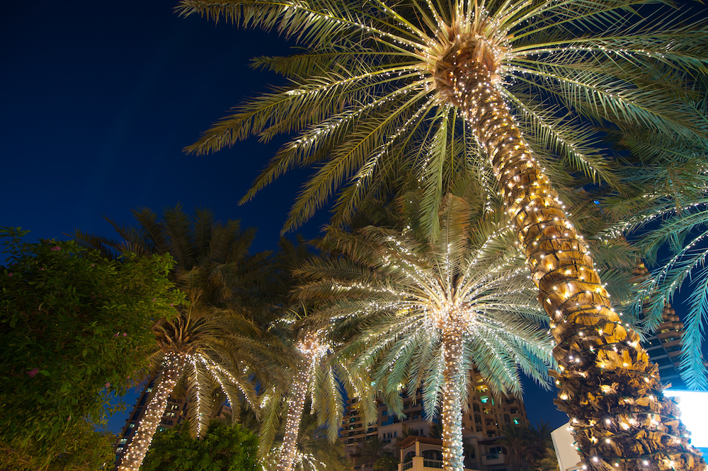 From Bethlehem to Palm Springs, Christmas Belongs in the Desert