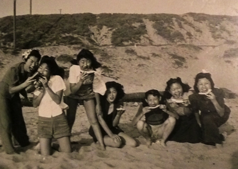 The Hidden Life Of Japanese American Teenagers Essay