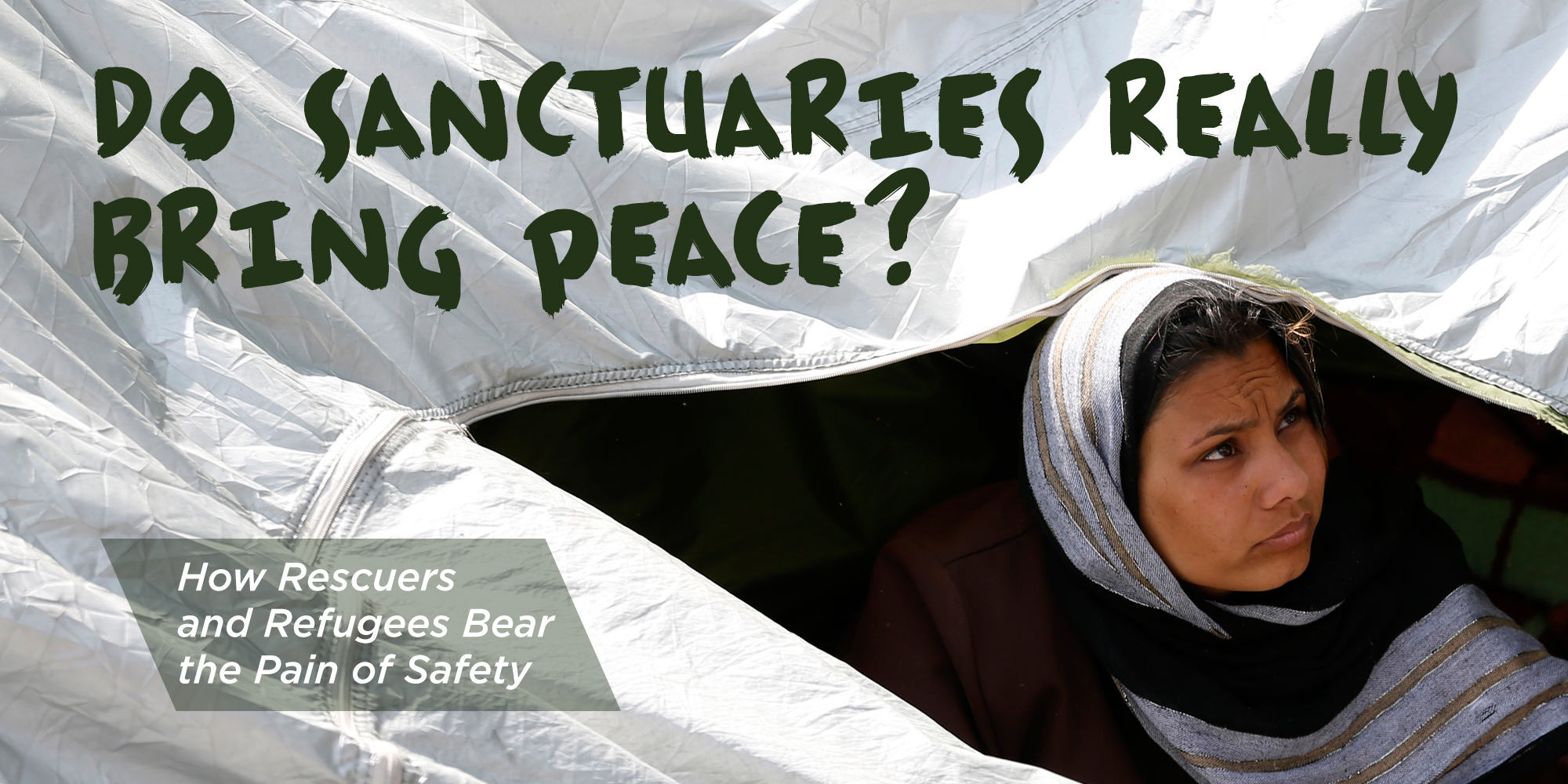 Do Sanctuaries Really Bring Peace?