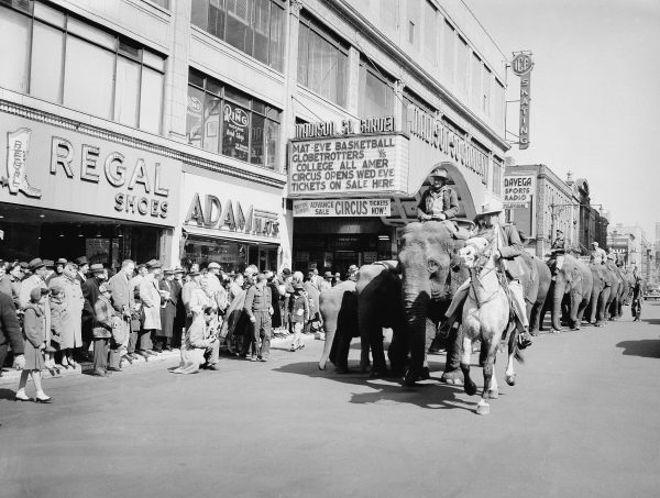 Arkie Scott astride his horse, Harold, leads a parade of elephants down Eighth Avenue at Madison Square Garden in New York, March 28, 1954.The Ringling Brothers and Barnum and Bailey Circus came to town for a 40-day engagement. Photo by Jacob Harris/Associated Press.