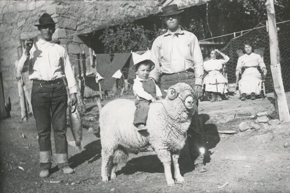 How Basques Became Synonymous With Sheepherders in the American West | Zocalo Public Square • Arizona State University • Smithsonian