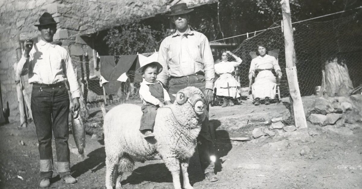 How Basques Became Synonymous With Sheepherders in the American West ...