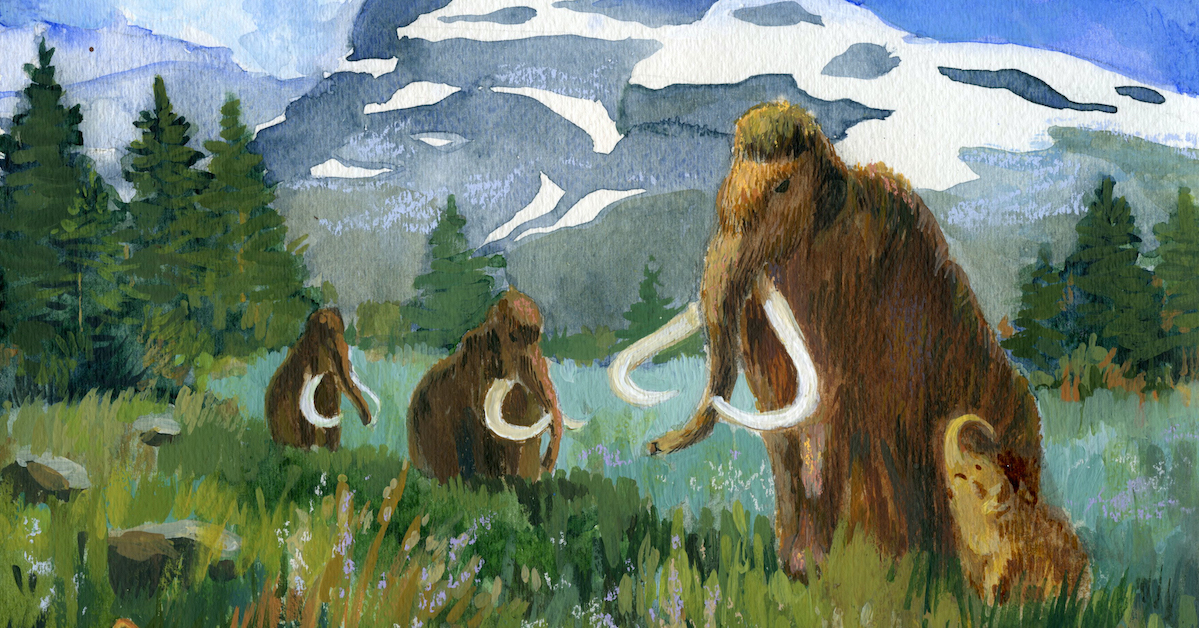 How CRISPR Might Spark Debate and Bring Woolly Mammoths Back