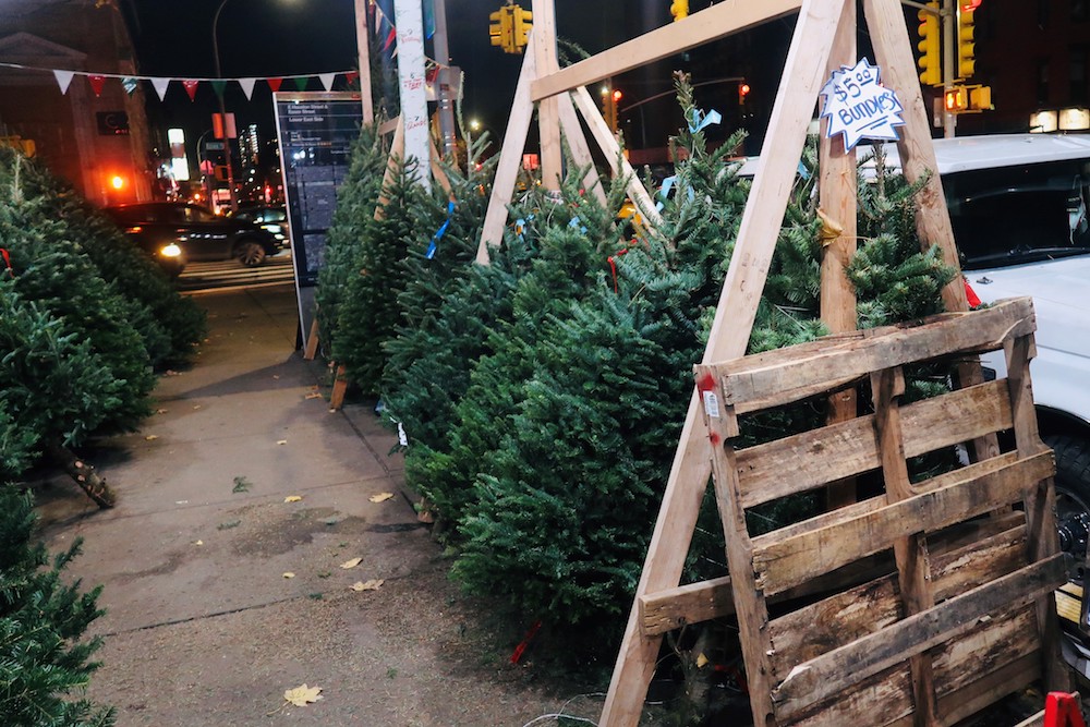 The Christmas Tree Vendors of New York City