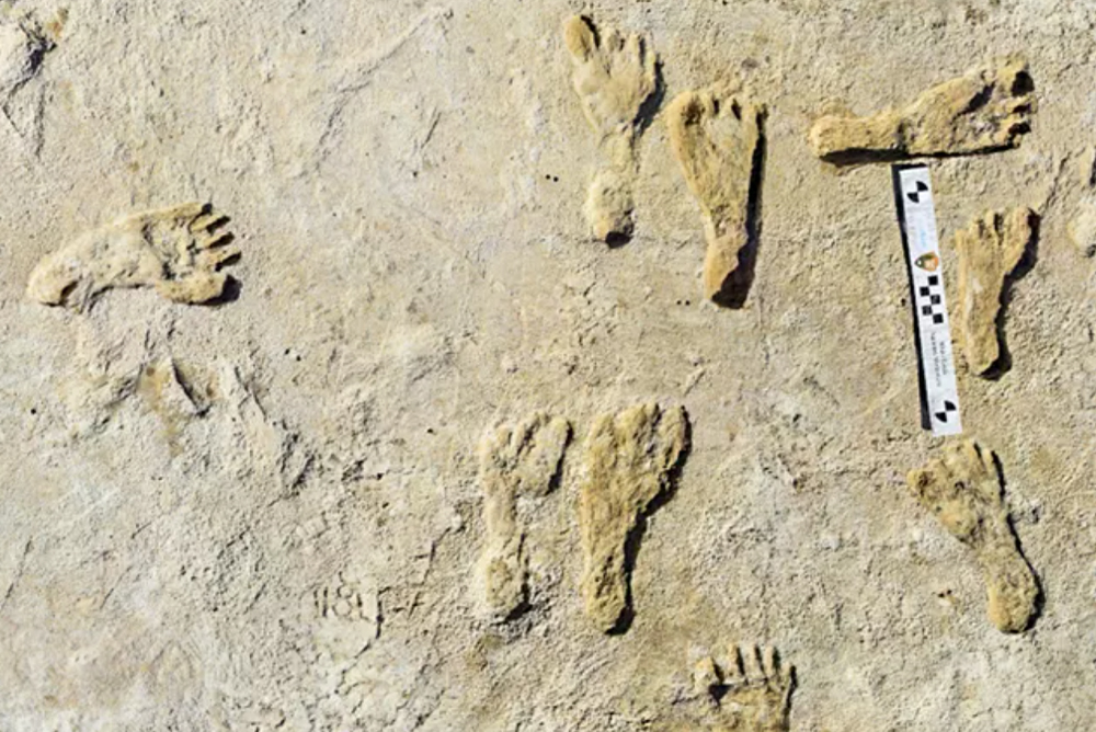Fossilized human footprints.